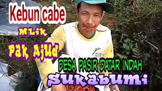 Perkebunan pasir datar indah sukabumi