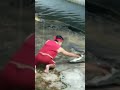 間一髪だったねwww #外国人面白動画