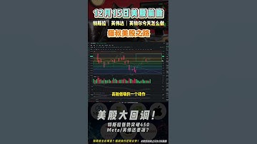 科技股遭遇大分化！特斯拉、Meta、英伟达命运如何？AI泡沫风暴中的黄金操作点位曝光！#美股#甲骨文#博通#特斯拉#英伟达#微软 #科技股#标普500 #纳斯达克#美股分析#美股盘前分析#美股投资