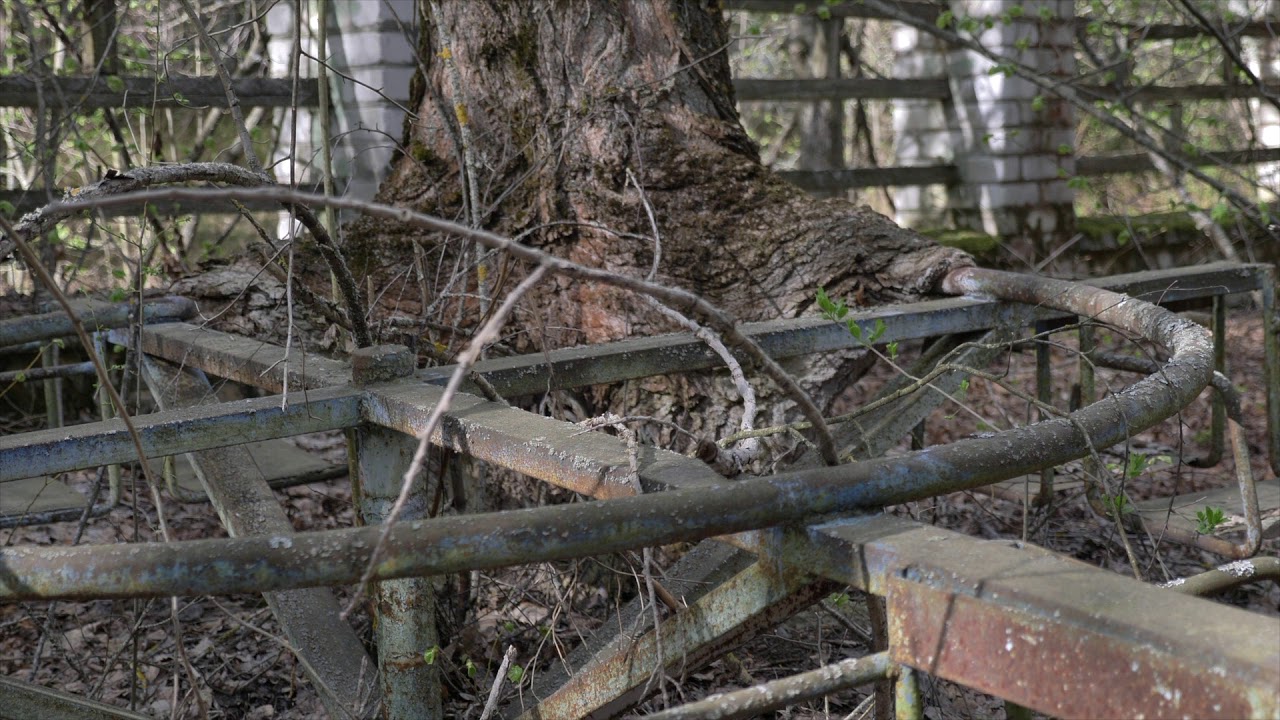 Чернобыль и Припять из Киева - однодневный групповой тур на author-tour.com.ua