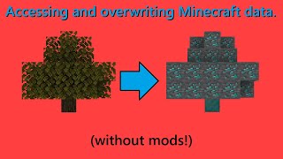 How to Access and Overwrite Minecraft Data with a Data Pack (Minecraft Java edition tutorial)