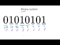 Binary Numbers Unveiled: Understanding the Transition from Binary to Decimal