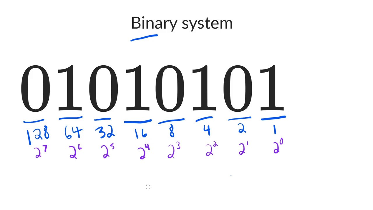 what is binary representation of a number