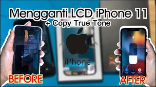 Ganti Layar LCD iPhone 11