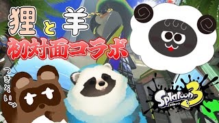 【スプラ３】狸と羊の初対面です初めましてコラボ【LIVE】