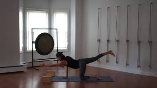 45 Minute Vinyasa: Bedford Hills, NY | A.G.A.P.E. Wellness