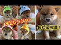 チビレンジャー参上!長女ゆずが猛抗議してきた😱