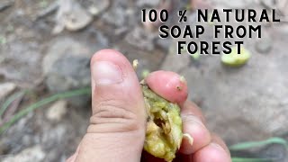 100 % Natural Soap from forest