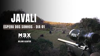 Caçada de Javali - Espera dos Sonhos - Dia 01