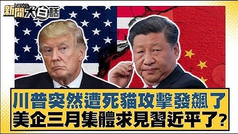 川普突然遭死貓攻擊發飆了 美企三月集體求見習近平了？【#新聞大白話】20250316 ｜#李永萍#左正東#張延廷
