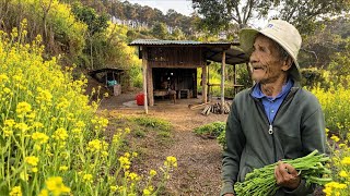 Crazy 87-Year-Old Grandpa Quits The City — His vegetable startup failed: Now he has nothing.