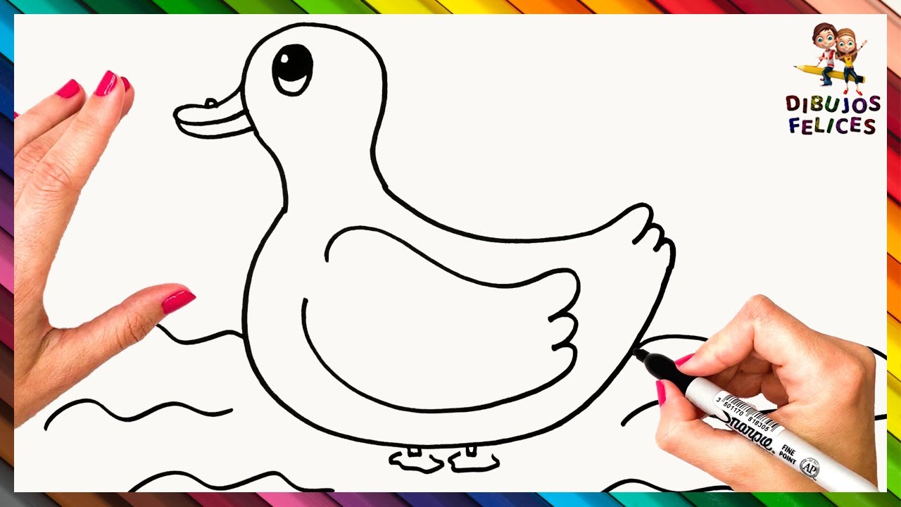 Cómo Dibujar Un Pato Paso A Paso 🦆 Pato Dibujo Youtube