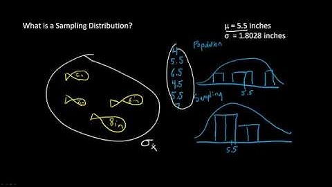 Sampling Distributions | AP Statistics | Ez Academy