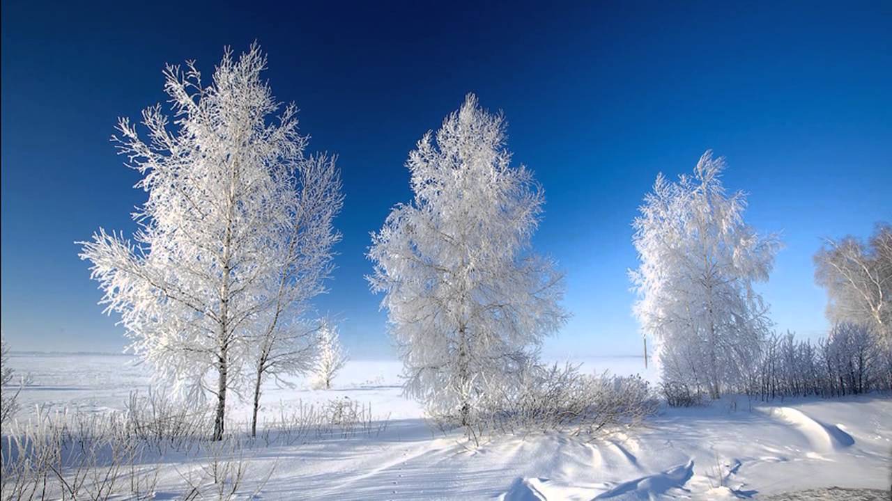 Зимний день воздух. Зимний пейзаж. Зимняя красота. Русская природа зимой. Зимушка зима.