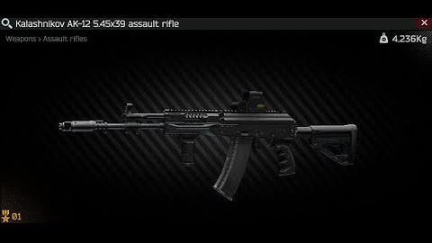 AK-12 Showcase | Escape From Tarkov