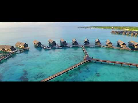 Vidéo: Calivigny Island - la parfaite occasion de rêvasser