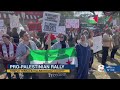 Hundreds of pro-Palestinian supporters attend demonstration in Temple Terrace