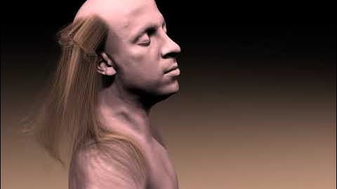 SIGGRAPH 2008 Hair Simulation