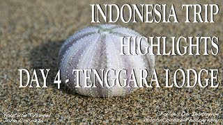 Indonesia Travel Highlights - Day 4 - Morning Surf, Beach Hike, Meeting Local Kids