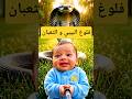 فلوغ البيبي مع الثعبان و الثعبان رح يبلعو