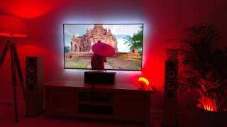 hueDynamic App Camera Sync TV to Hue Lights (Nature) screenshot 5