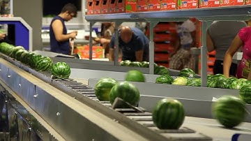 Processing and sorting line for watermelons - UNITEC