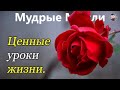 Ценные Уроки Жизни | Лучшие Цитаты, Которые Заставляют Задуматься!