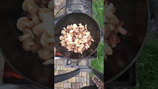 Приготування маслят #гриби #готовка #смачно #рецепт #маслята #asmr #rek #vibes #kazmer_21 #кайф