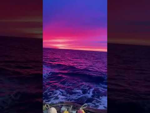 اروع حاله وتس علي اغنية عايم في بحر الغدر