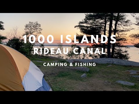 Video: Poți pescui în canalul Rideau?