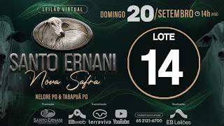 14 - LEILÃO VIRTUAL SANTO ERNANI NOVA SAFRA - 20/09/2026