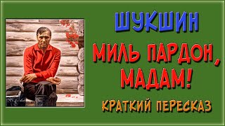 Миль пардон, мадам! Краткое содержание