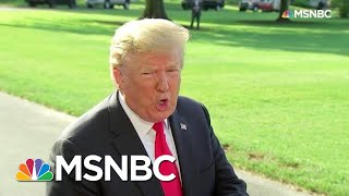 Donald Trump, A Very Stable Genius, Tries To Read The Constitution | All In | MSNBC