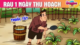 RAU 1 NGÀY THU HOẠCH - Những Bông Hoa Nhỏ - Phim hoạt hình - Truyện cổ tích - Quà tặng cuộc sống