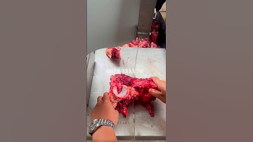 Máy cưa thịt đông lạnh | Máy cưa xương #maycaythitdonglanh #maycuaxuong #maycat #nguyenlinhduong