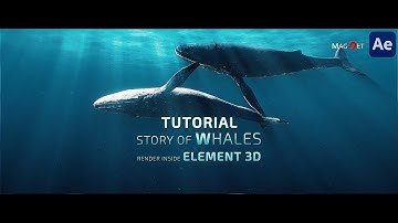 How to make under water whale inside  Element 3D render II Tutorial II After effect