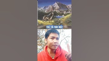 Bạn Nhìn Ra Được Bao Nhiêu Con Vật | Rèn Luyện Tư Duy (p291) #shorts #câuđốkhó