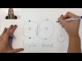 Understanding Covalent Bonds