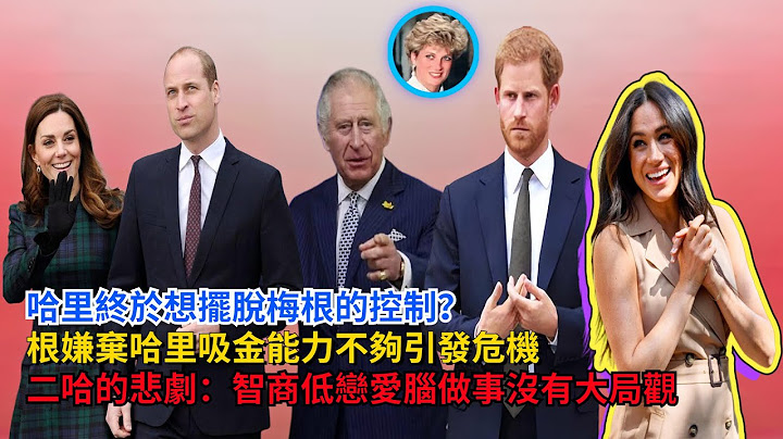 哈里終於想擺脫梅根的控制？梅根嫌棄哈里吸金能力不夠，二哈的悲劇：繼承戴妃的缺點，智商低戀愛腦，做事沒有大局觀#哈里王子#梅根#戴安娜#凱特#查爾斯#蘇菲王妃#威廉王子#卡米拉#英女王#夏洛特公主 - 天天要聞
