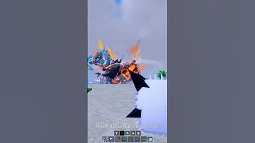 The Dragon Update be like #roblox #bloxfruits #shorts