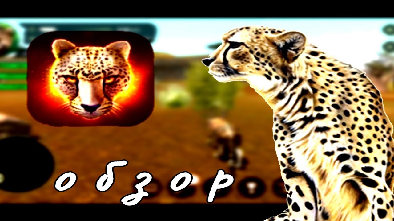 Cheaters cheetah читы