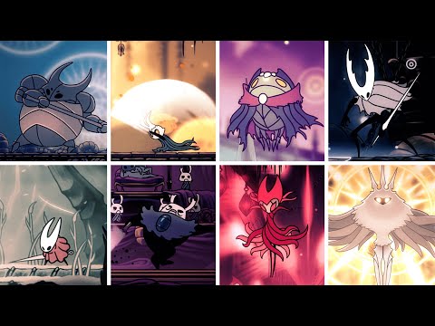 Hollow Knight -
