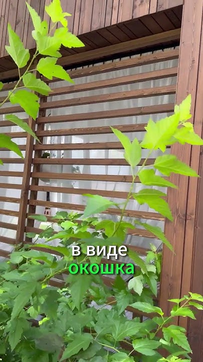 Стильная и эффектная обшивка из дерева! #загородныйдом #беседка #дизайн ...