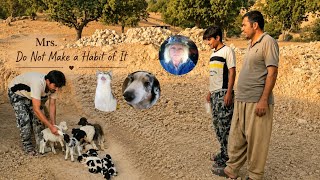 Mohammad helped a hungry dog; then he began building a new kitchen!