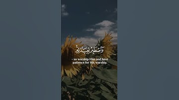 عبدالرحمن مسعد سورة مريم اجمل حالات واتس اب دينية 🎧😌
