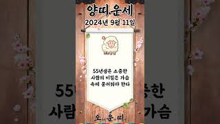 오늘의 양띠 운세 2024년 9월 11일 #양띠 #오늘의운세 #내일의운세 #운세 #운세쇼츠