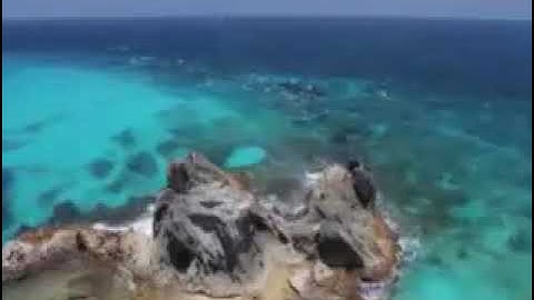 بسم الله الرحمن الرحيم  سورة الرحمن تلاوة الشيخ عوض عمر