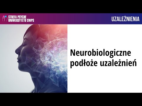 Neurobiologiczne podłoże uzależnień – dr n. med. Joanna Krawczyk