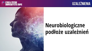 Neurobiologiczne podłoże uzależnień - dr n. med. Joanna Krawczyk