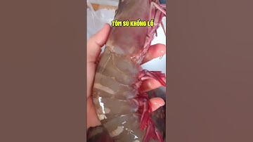 Tôm sú khổng lồ bự chà bá | MINOS .COM.VN #minos #hảisảnminos #seafood #minos2
